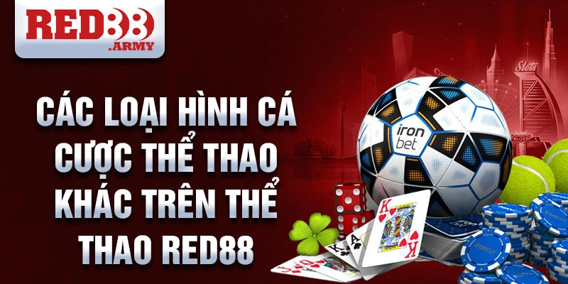 Các loại hình cá cược thể thao khác trên Thể thao Red88